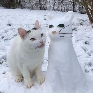 Meet your Posher, Diana